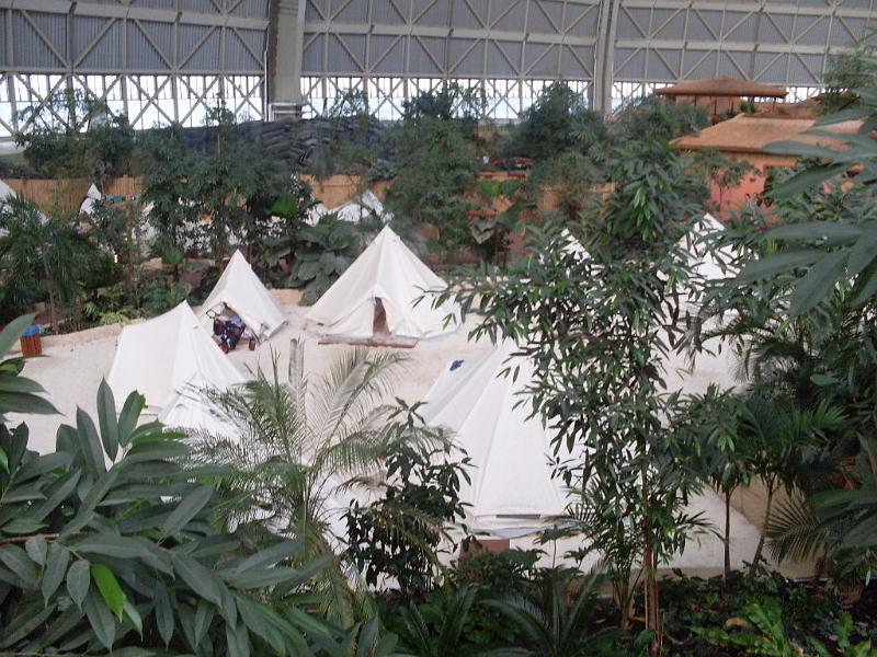 SDC10685.JPG