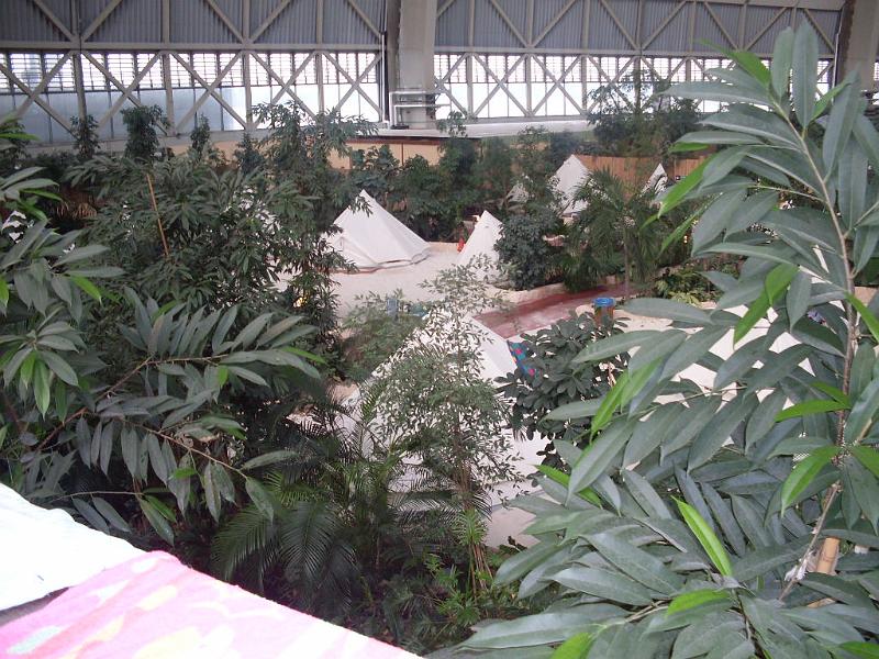 SDC10686.JPG