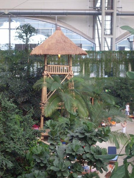 SDC10690.JPG
