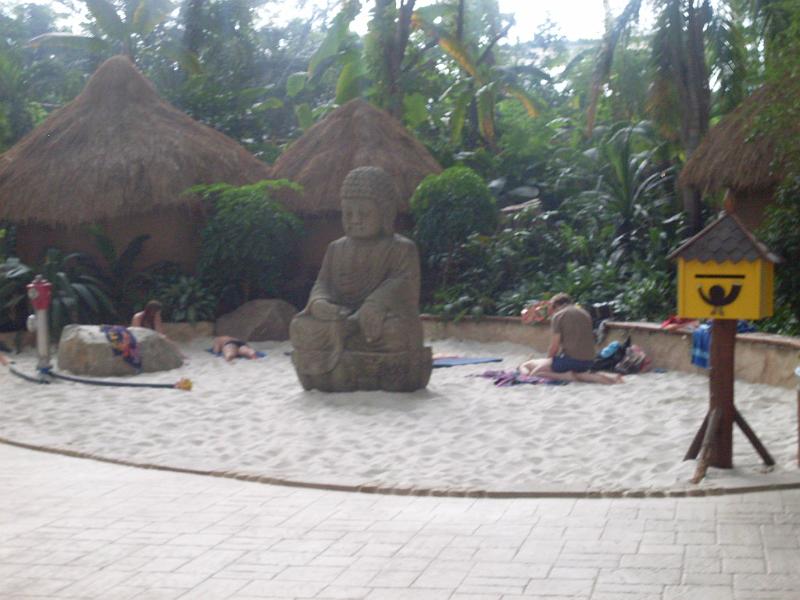 SDC10695.JPG