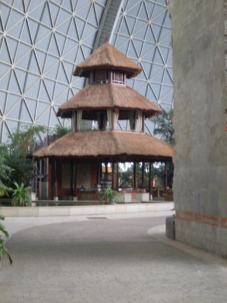 SDC10705.JPG