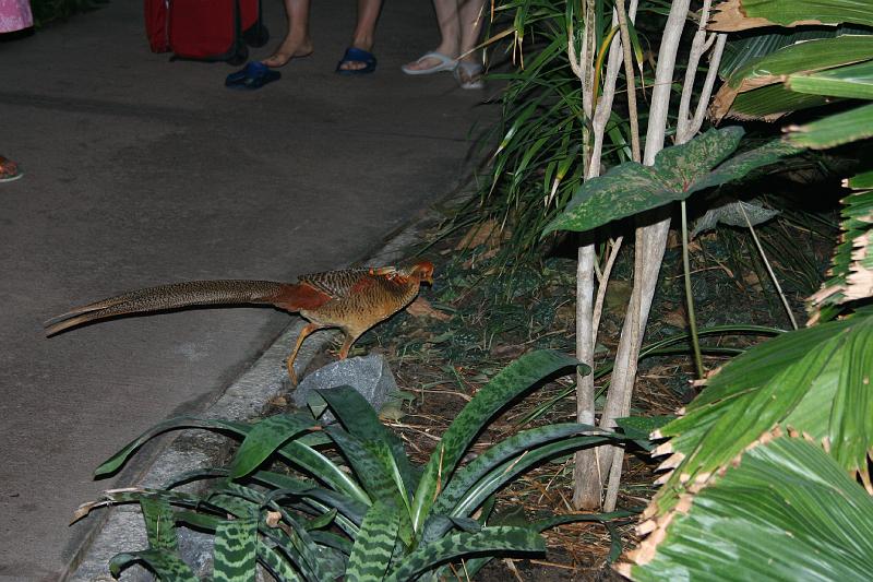 Tropical_island_027.jpg