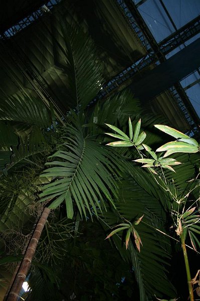 Tropical_island_029.jpg