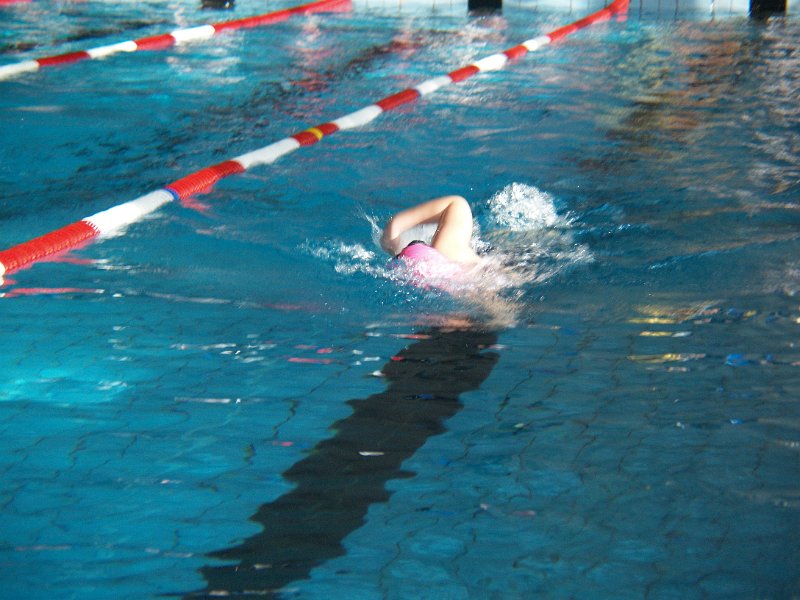 AZ306036.JPG