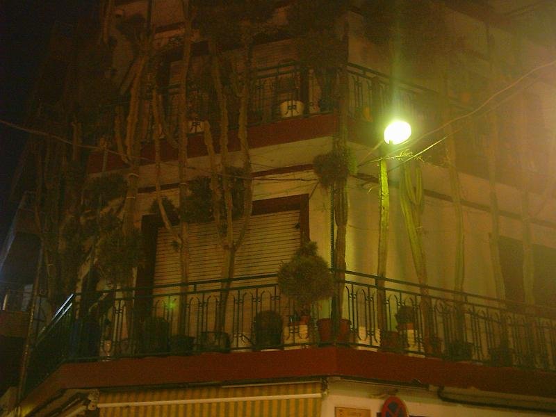 17_kakteen_in_callela.JPG